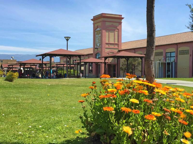 Un angolo del Parco Verde dell'ex vetreria di Pirri, poco fuori il centro cittadino di Cagliari