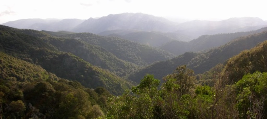 foto vallata di is cannoneris tratta da chia.it