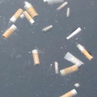 Cortile Principale Monastero dei Benedettini Catania