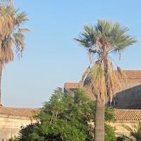 Giardino dei Novizi Monastero dei Benedettini Catania